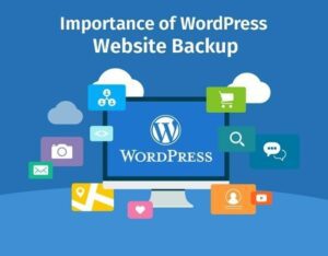Website Backup