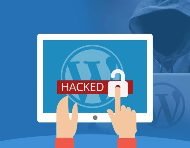 Regular WordPress Backups