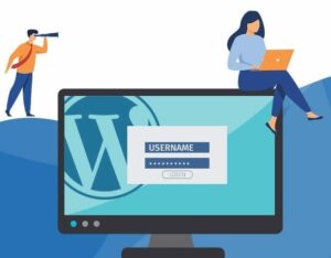 website cleanup and checkup
