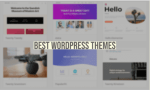 best wordpress themes