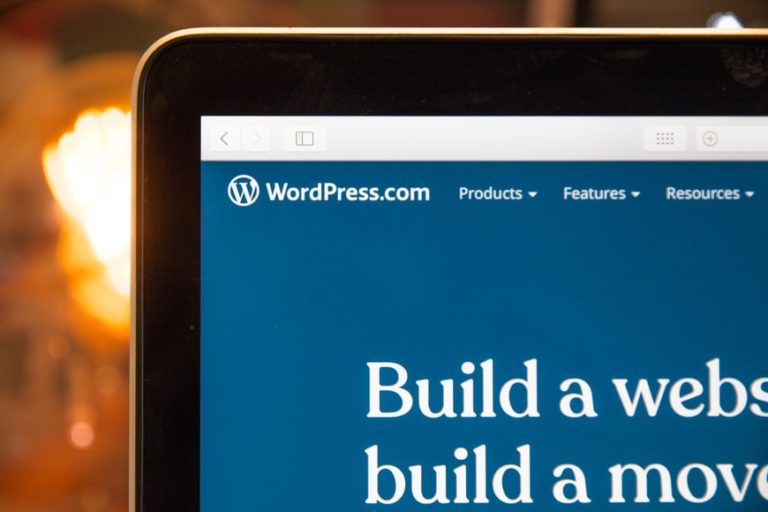 What Are the Benefits of Hiring WordPress Professionals for Your Business? 3 wordpress full-stack developer
