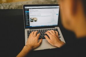 WordPress management skills