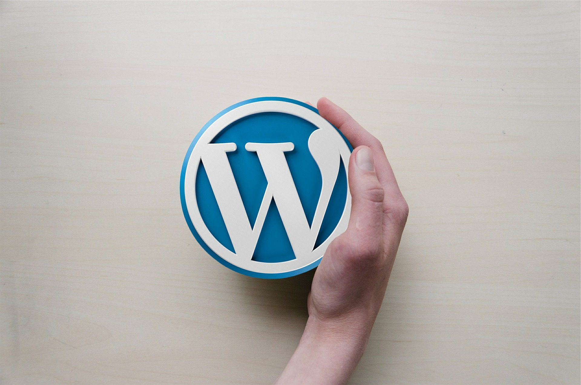 Everything You Need to Know about WordPress Content Management (Highlights and Challenges) 1 WordPress content management